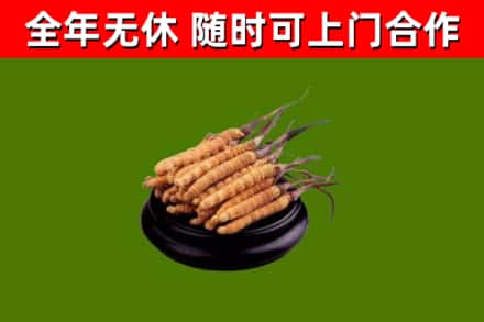 崆峒区回收冬虫夏草